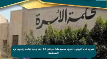 تنويه هام اليوم.. دعوى مصروفات مرافق 80 ألف جنيه تواجه زوجين في المحكمة